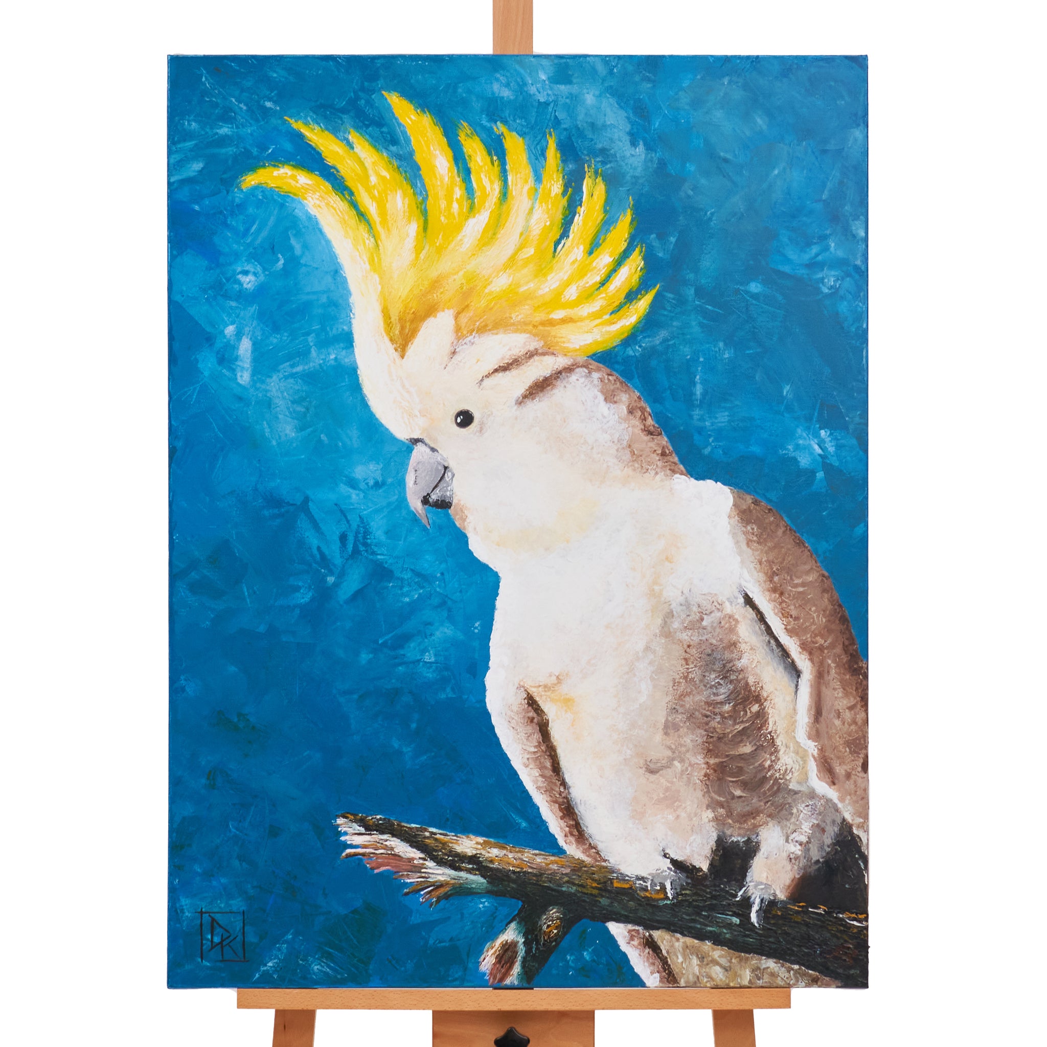 Sulpurcrested Cockatoo Richmond Fellowship Queensland