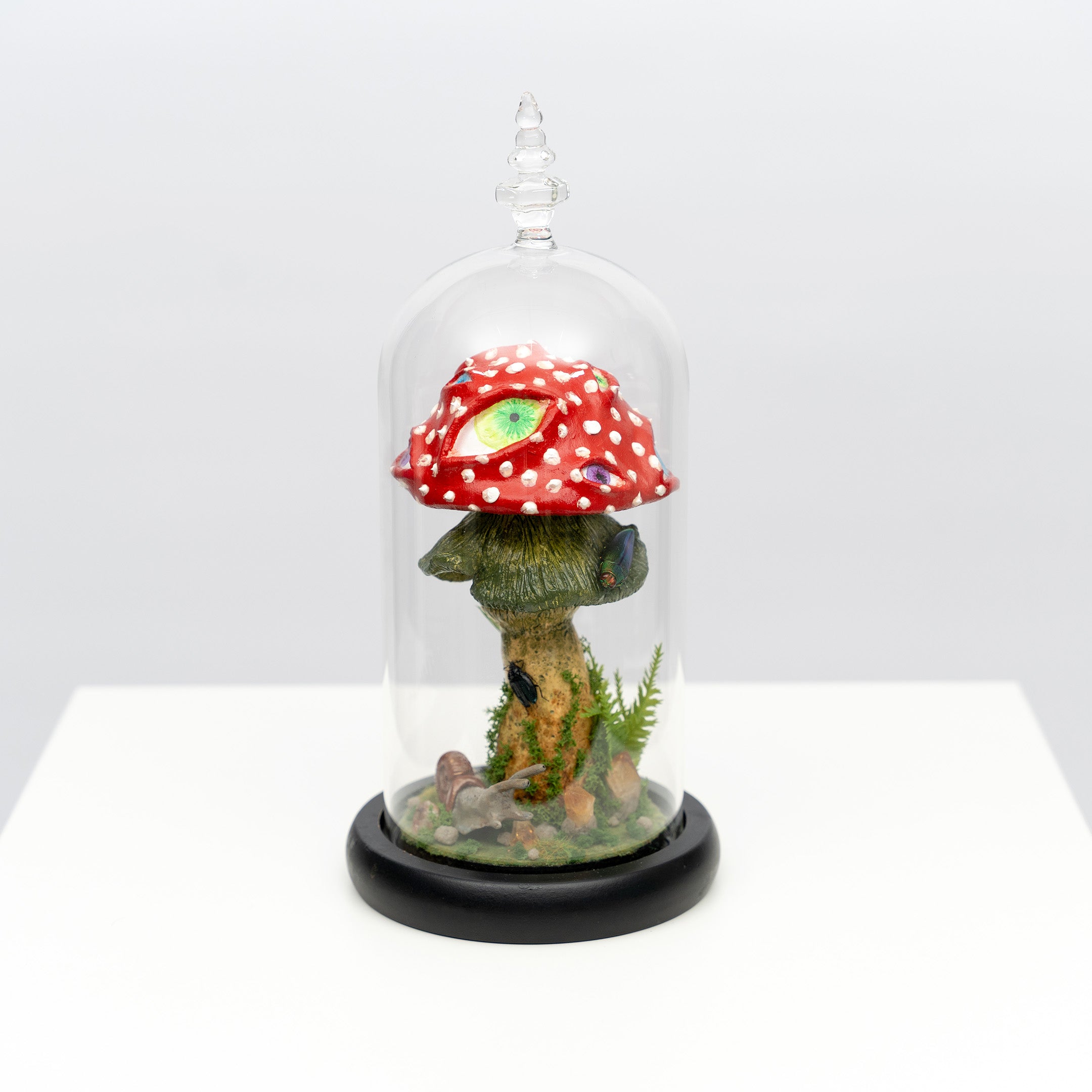 Pupilous Fungious Cloche by Cactus Creations