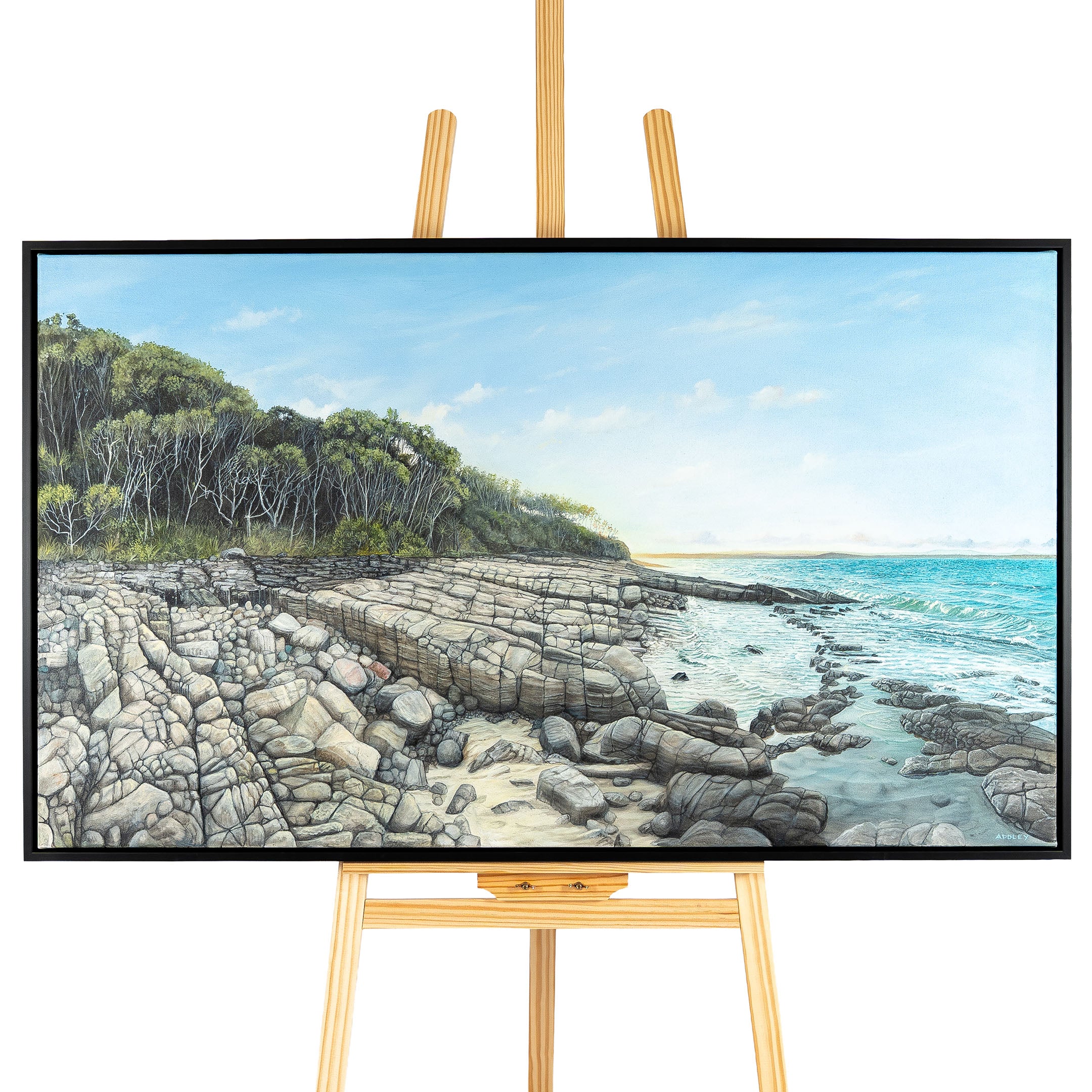 Tea Tree Bay, Noosa National Park by Craig Addley