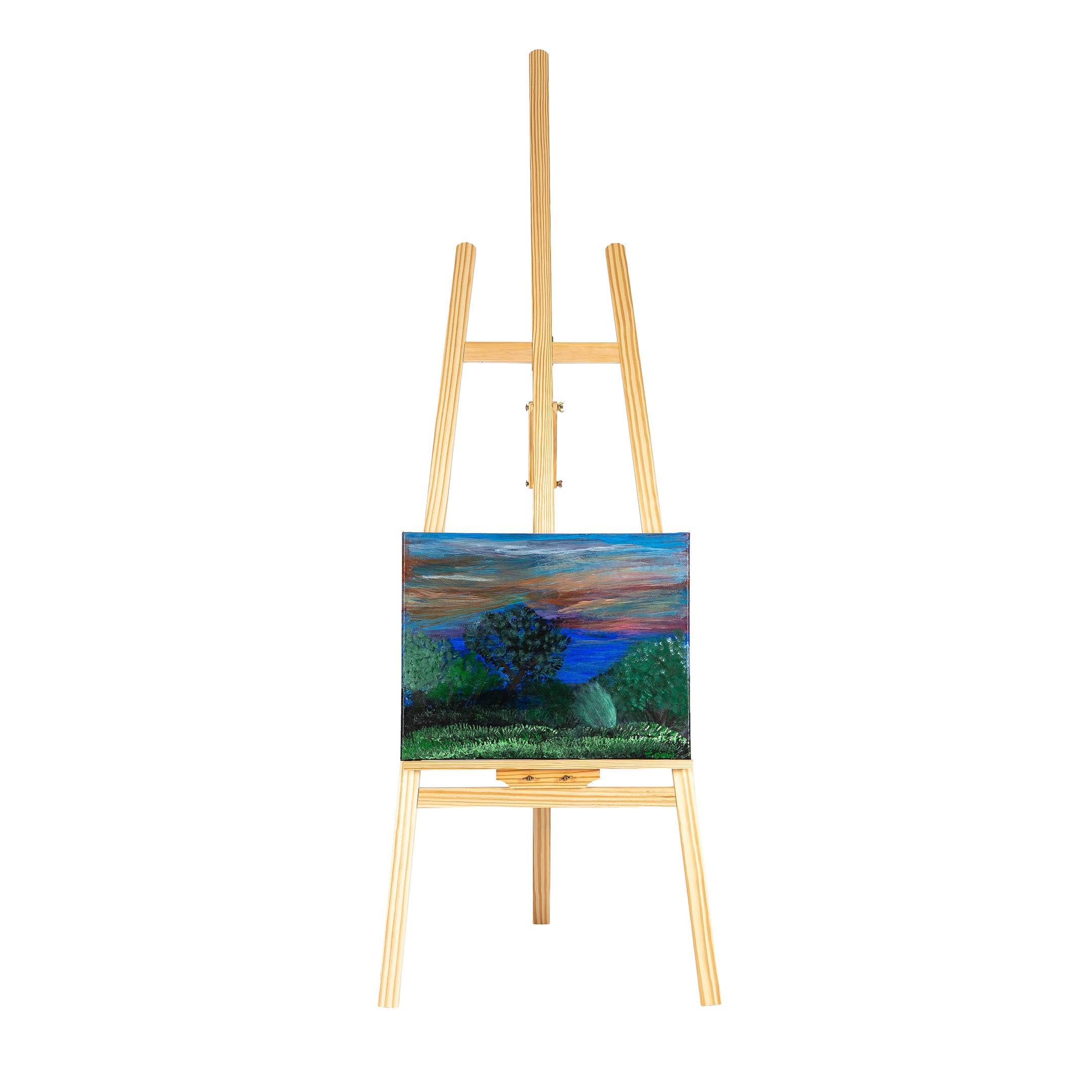 50cm x 40cm by Jan Devi