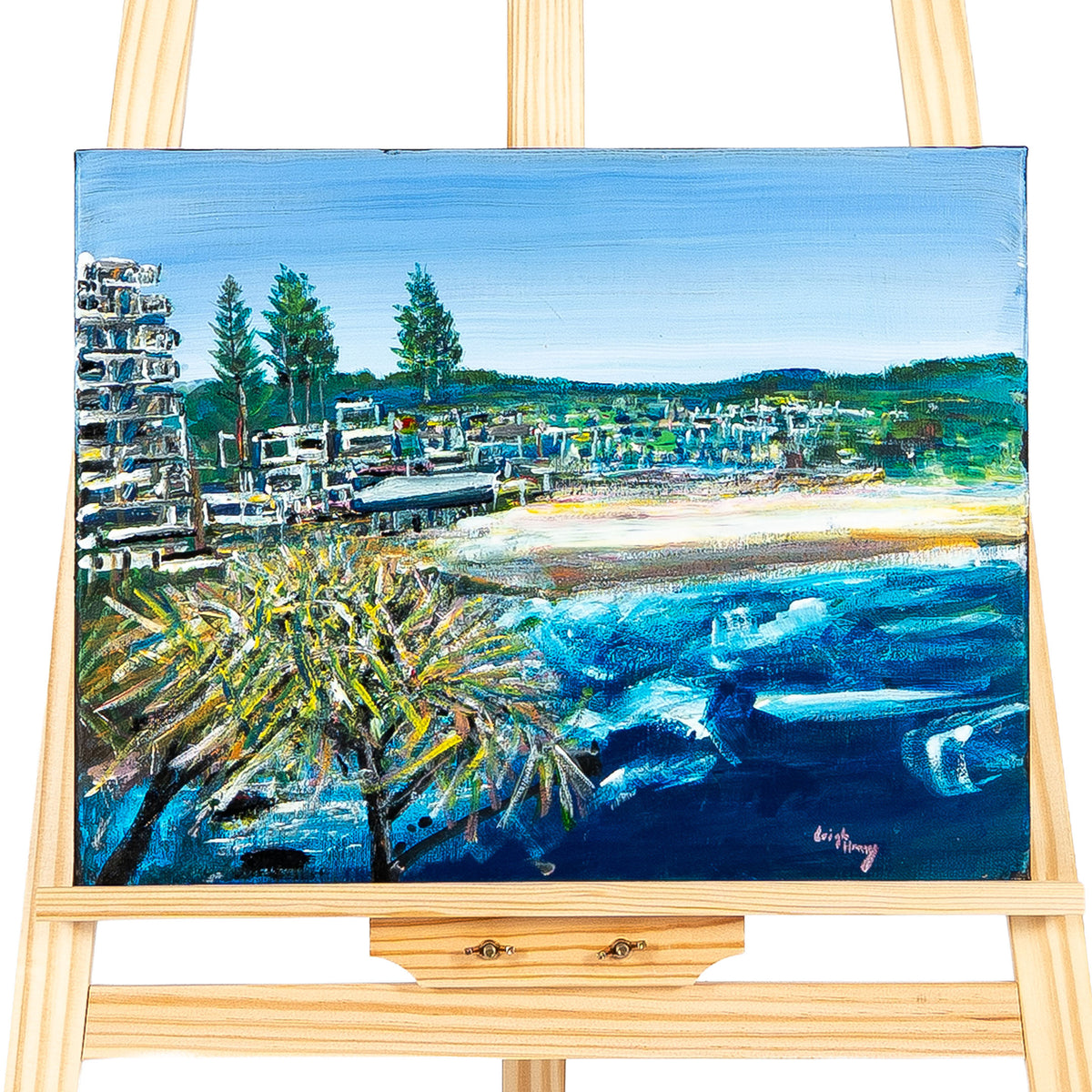 Coolum Beach by Leigh Harvey
