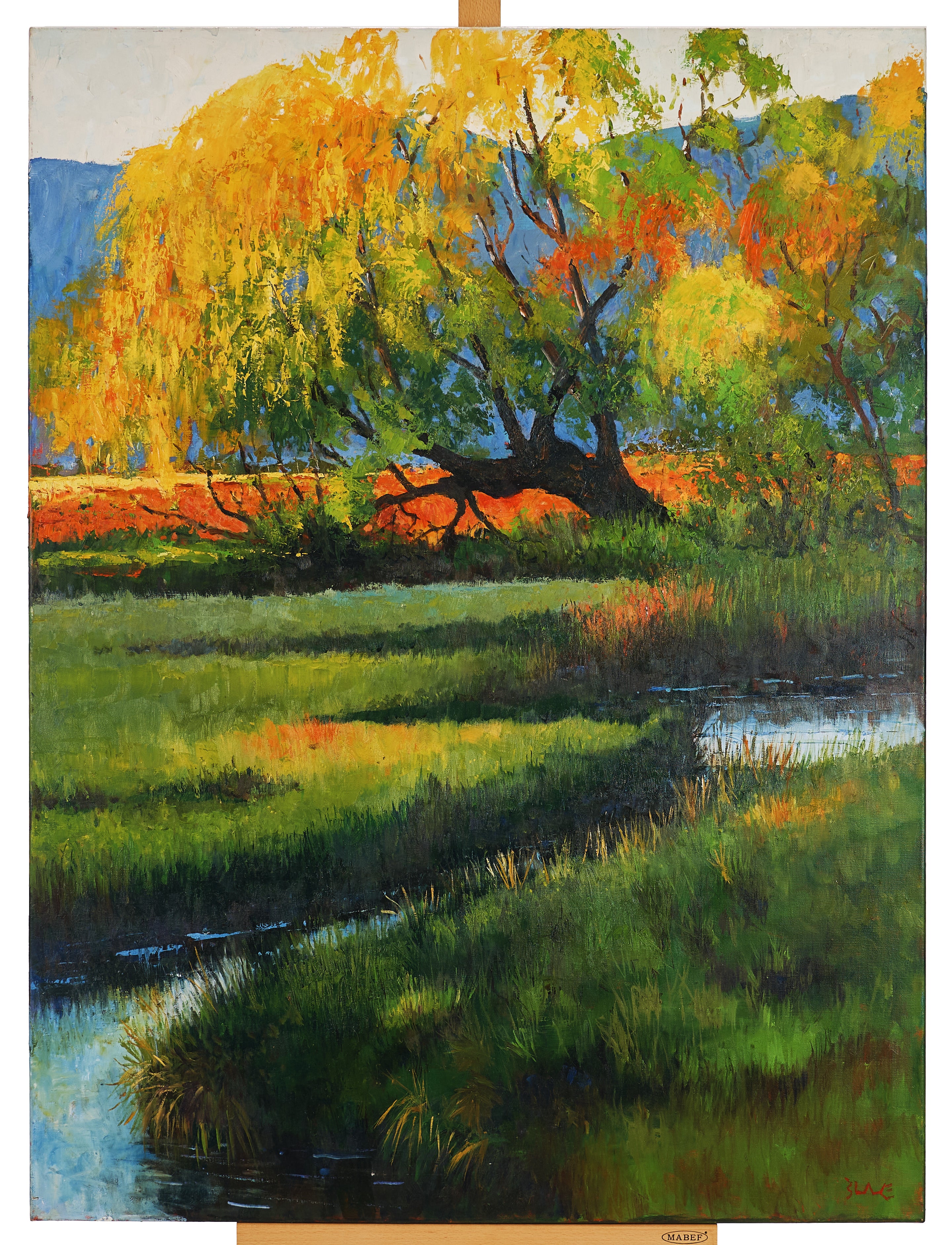 Willow's Morning Light by Chris Blake