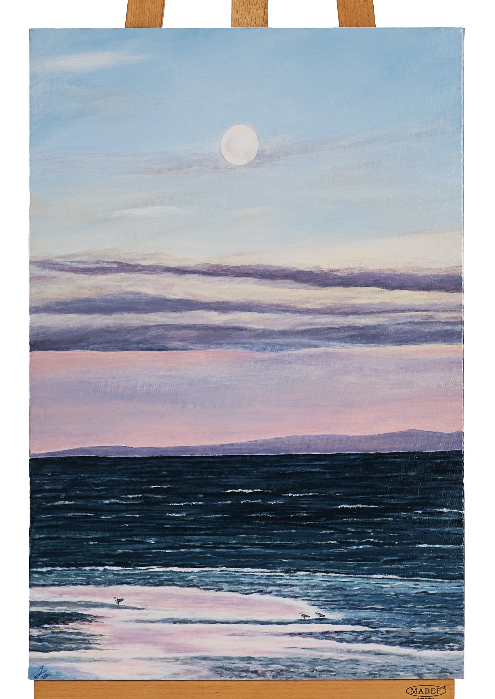 51cm x 76cm by Traci Marlin