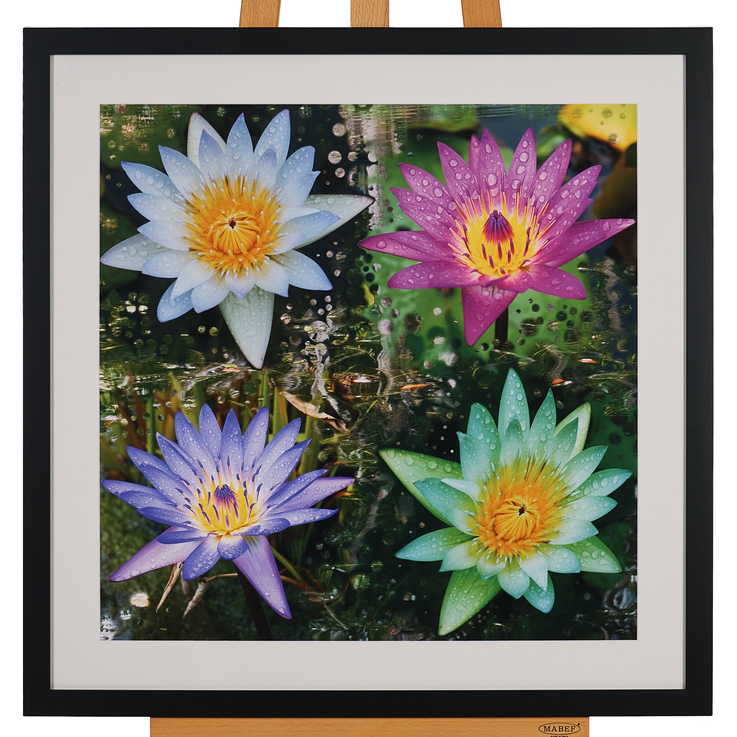 77cm x 77cm by Colleen Stevenson