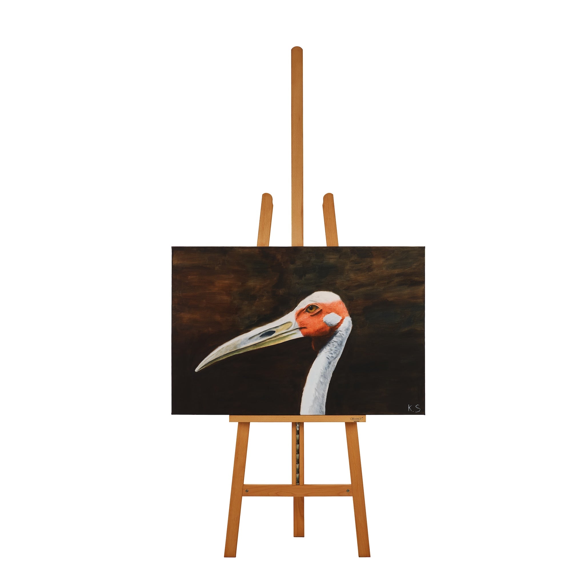 The Majestic Brolga by Kris Stokman