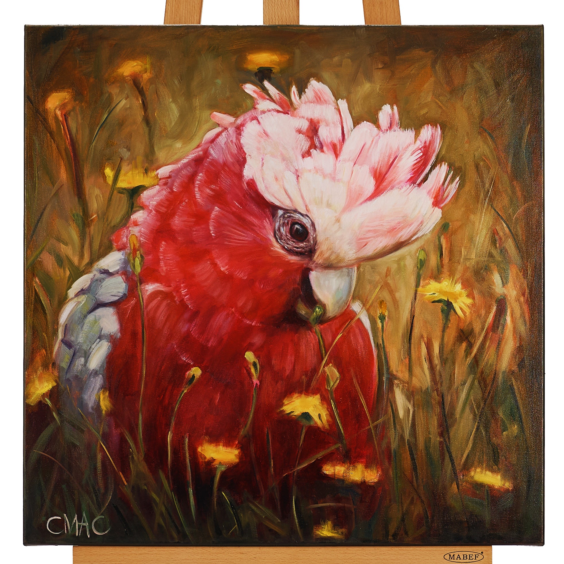 60cm x 60cm by Cindy MacDonald