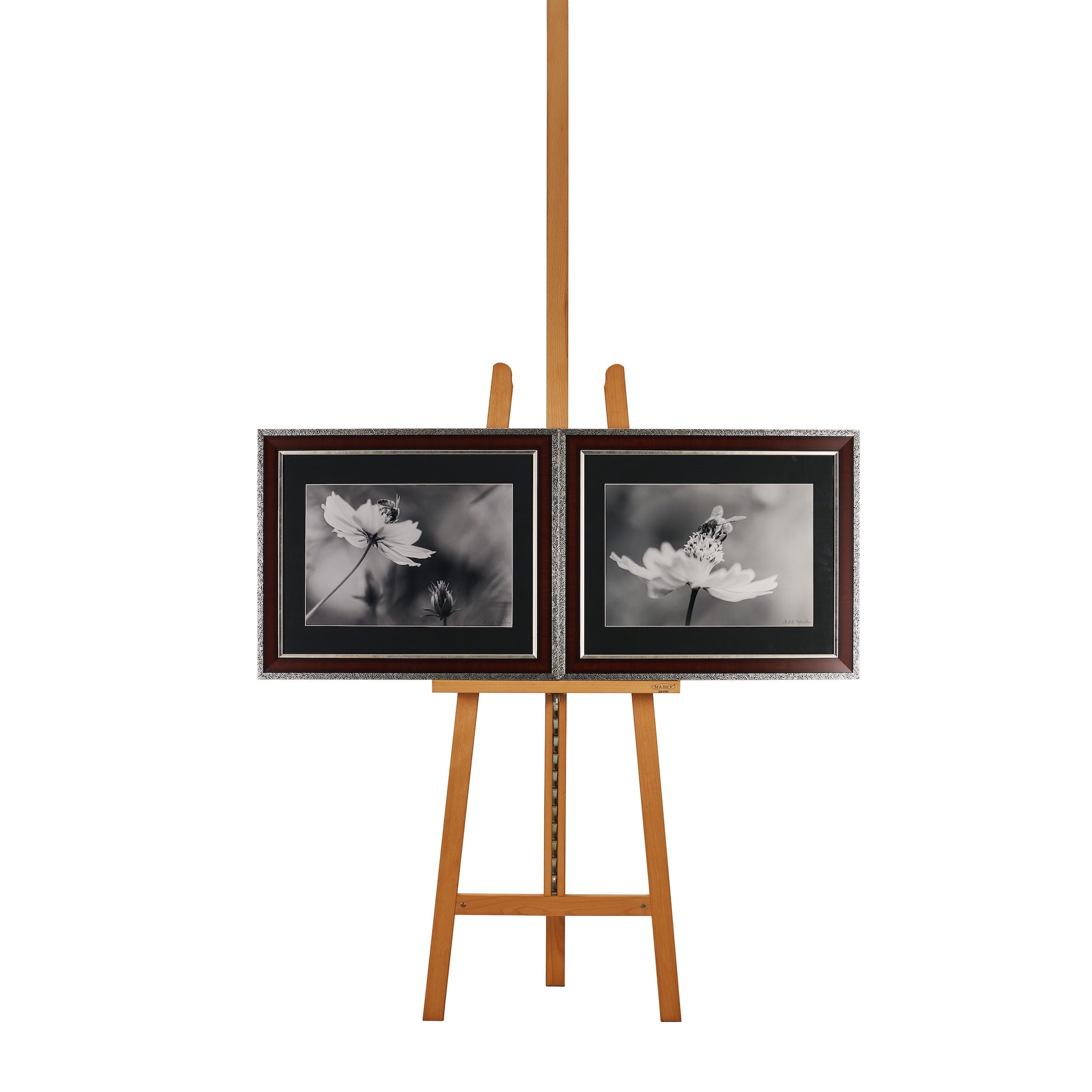 Wings of Dust & Destiny (Series of Two) by Michelle Taylor-Holmes