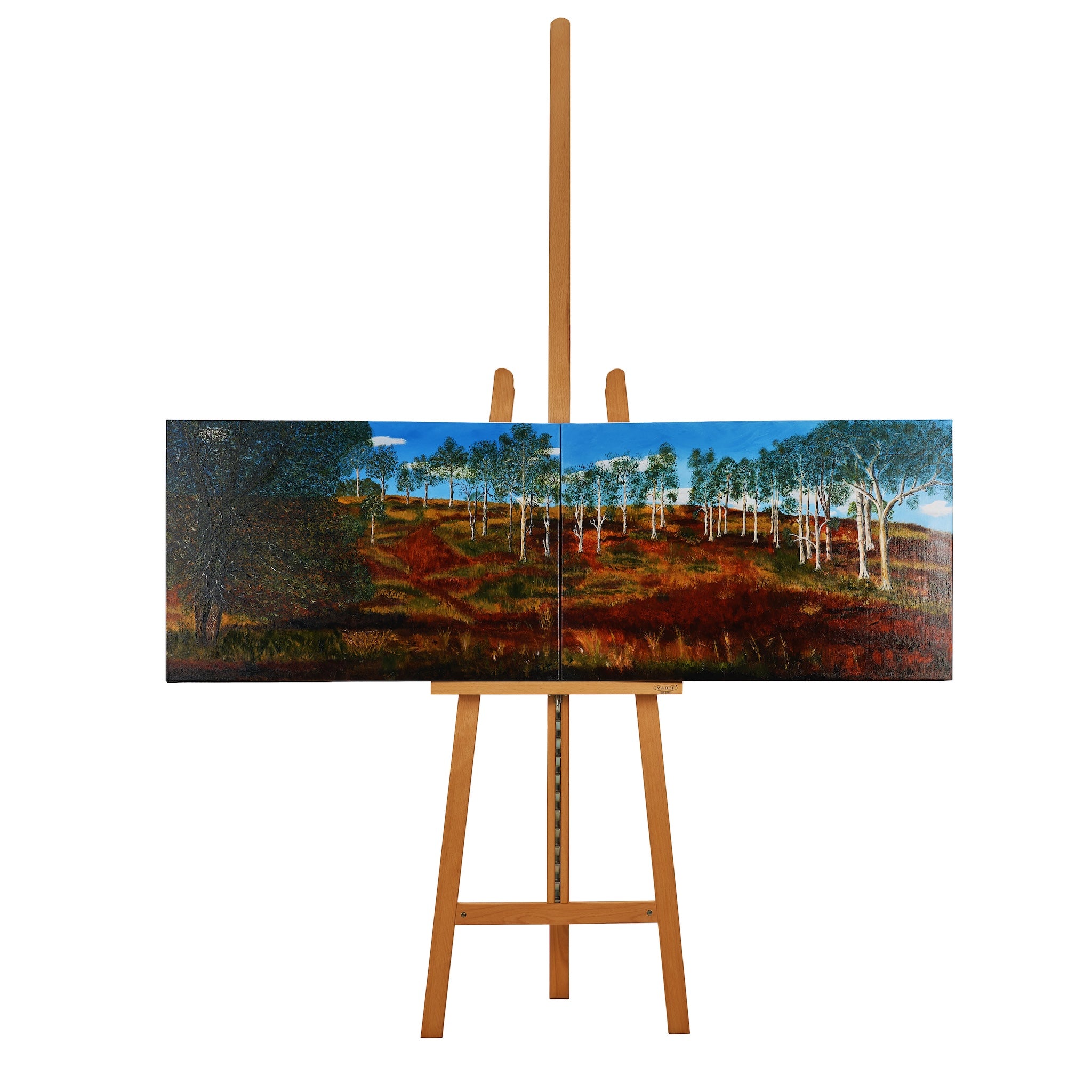 Wandering Light by Jeffrey Parker