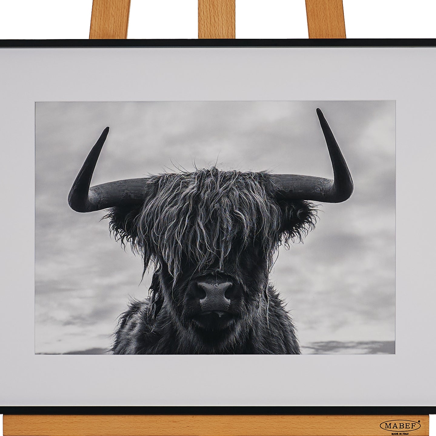 34cm x 60cm by Alexandra Ellen