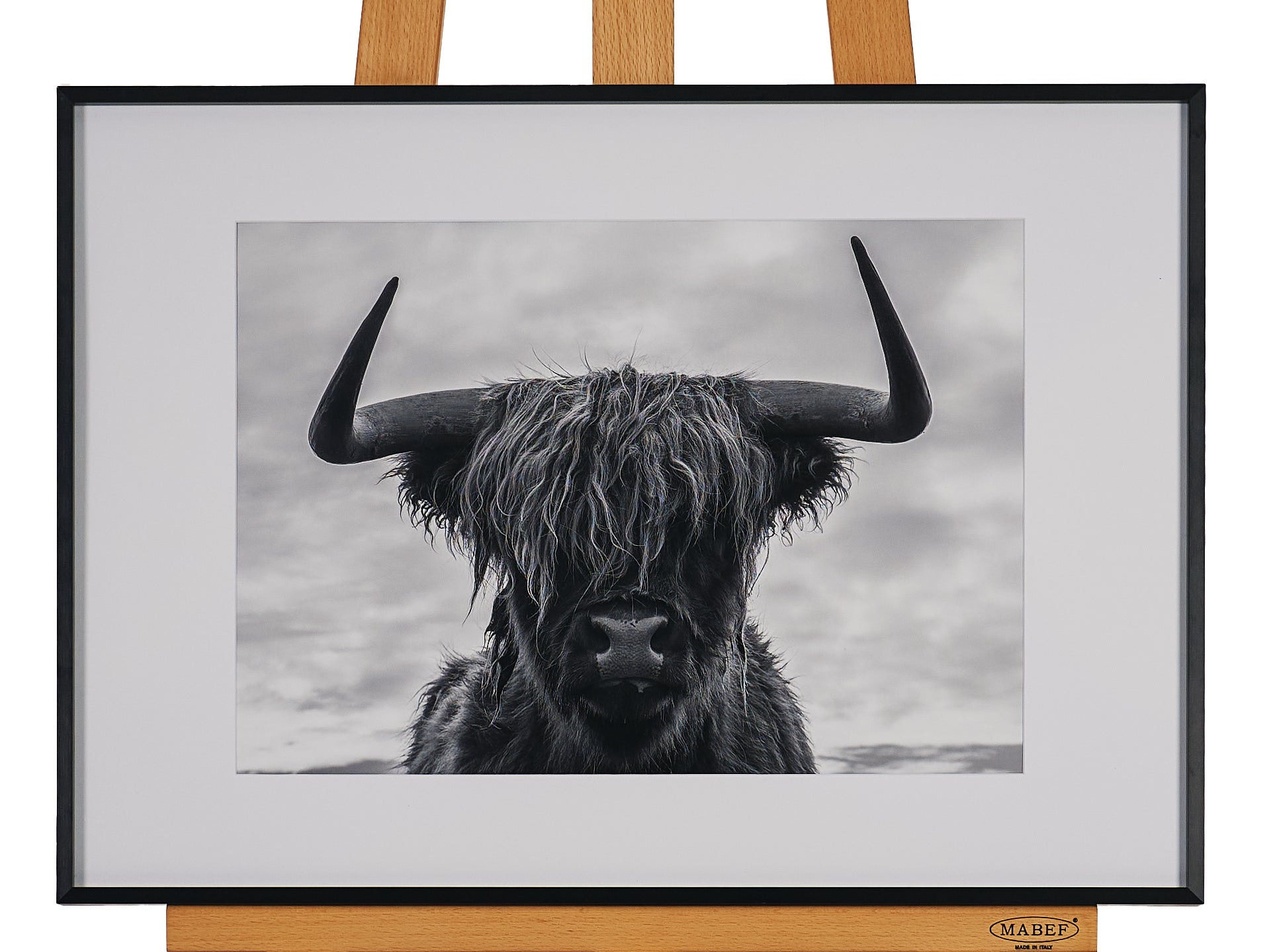 34cm x 60cm by Alexandra Ellen