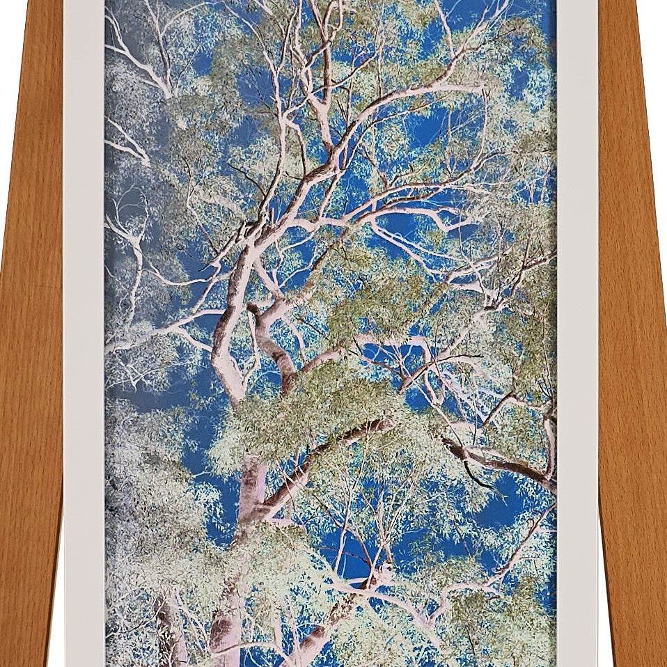 45cm x 27cm by John Salm