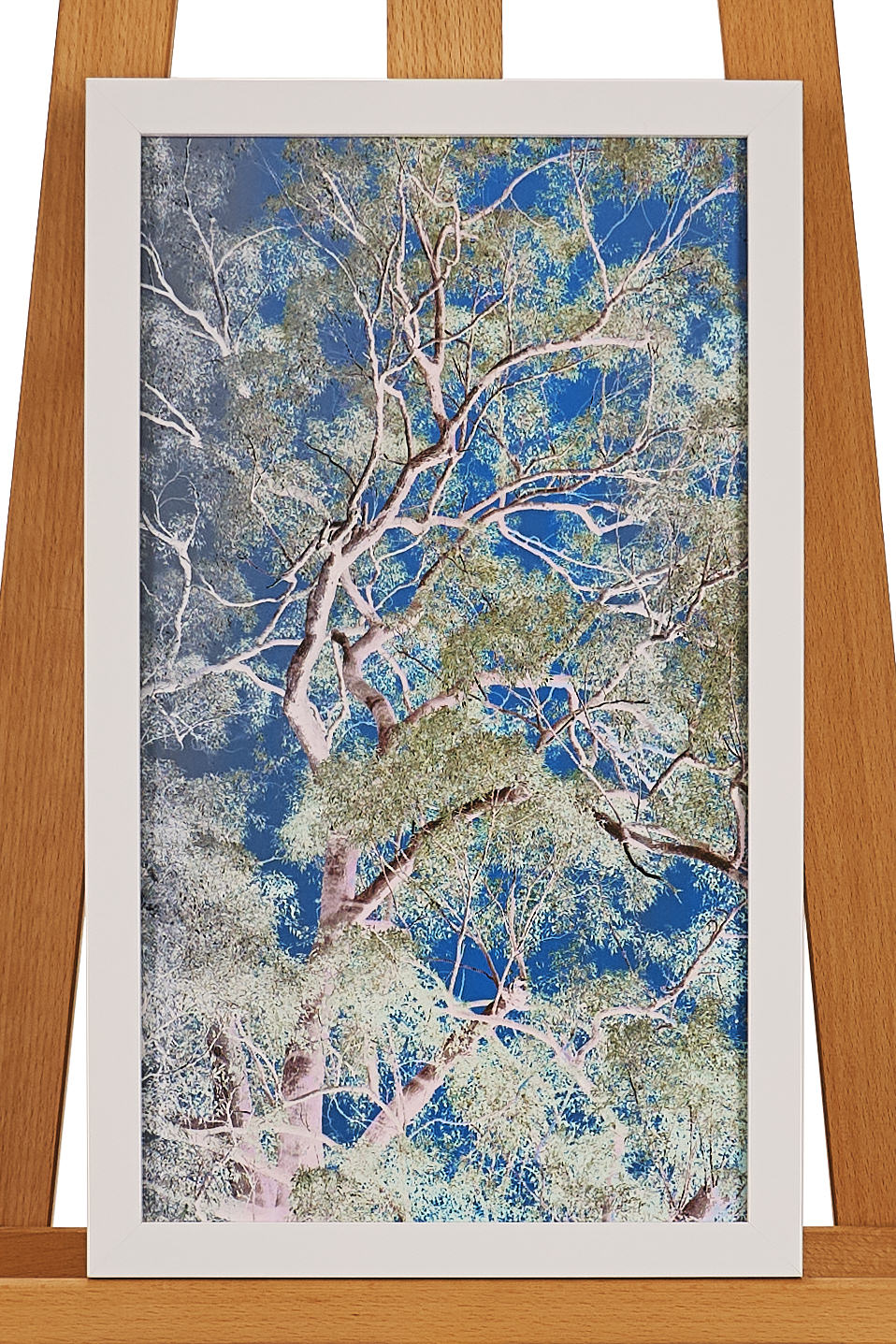 45cm x 27cm by John Salm