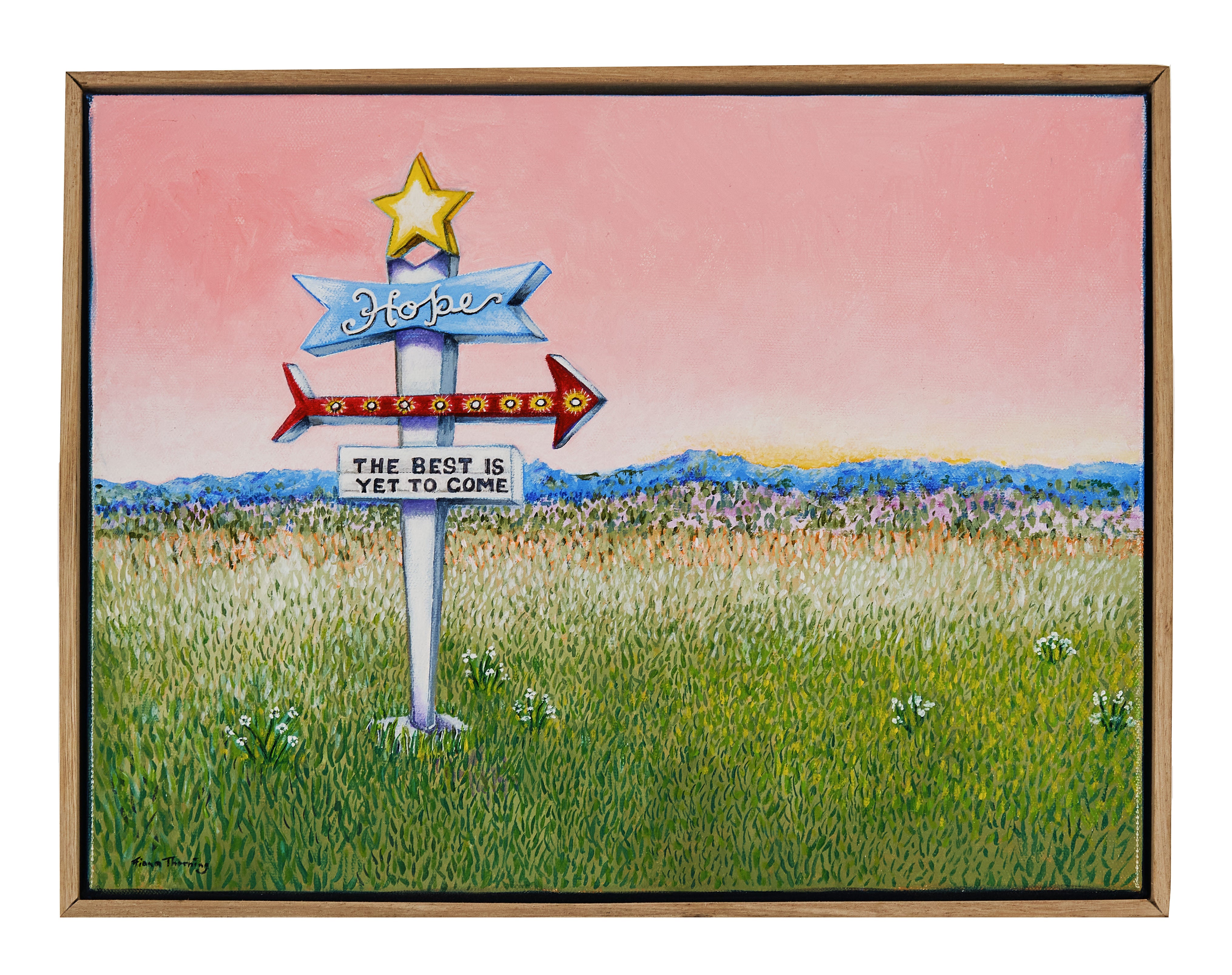 42cm x 32cm by Fiona Thorning