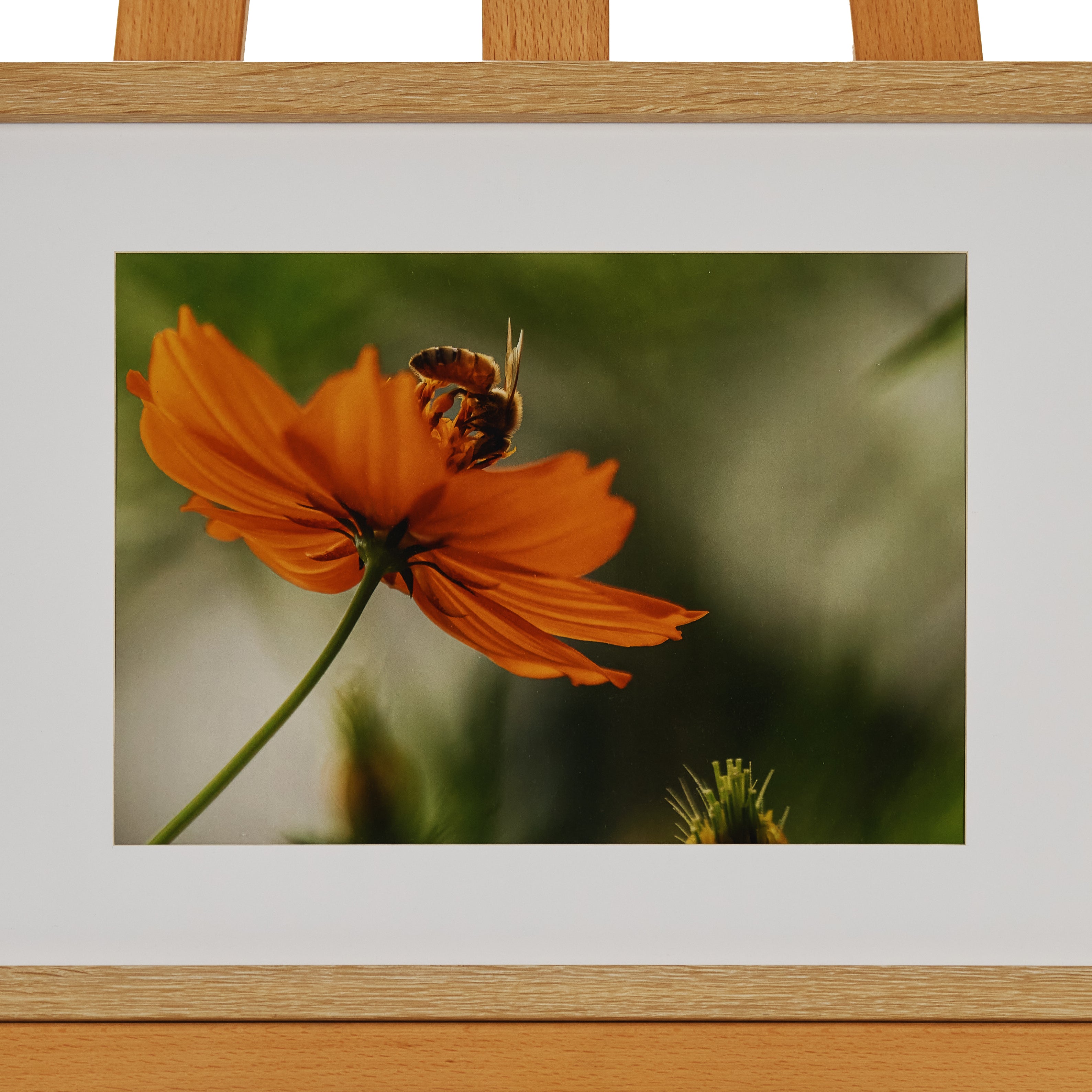 45cm x 32cm by Michelle Taylor-Holmes