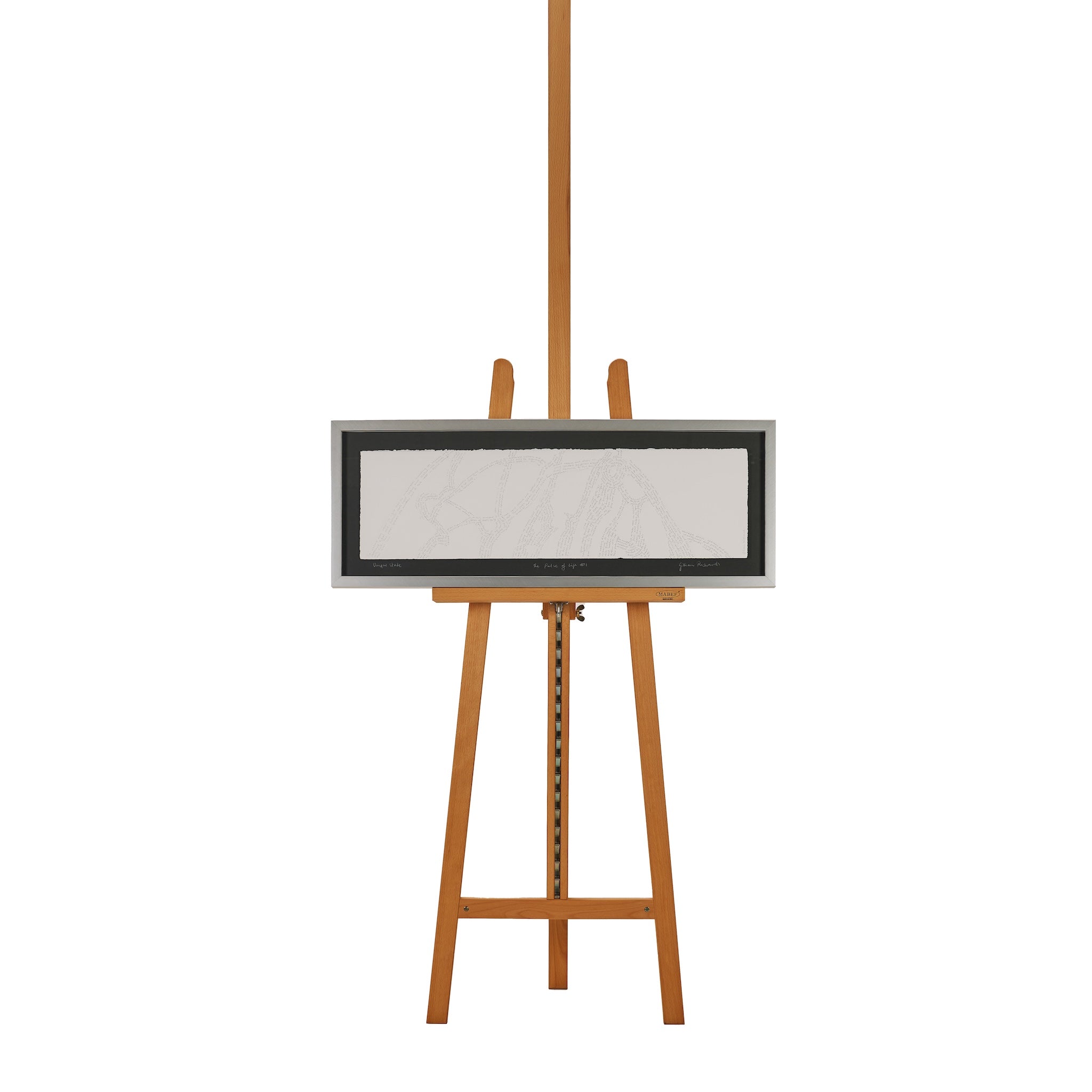 The Pulse of Life #1 by Gillian Richards