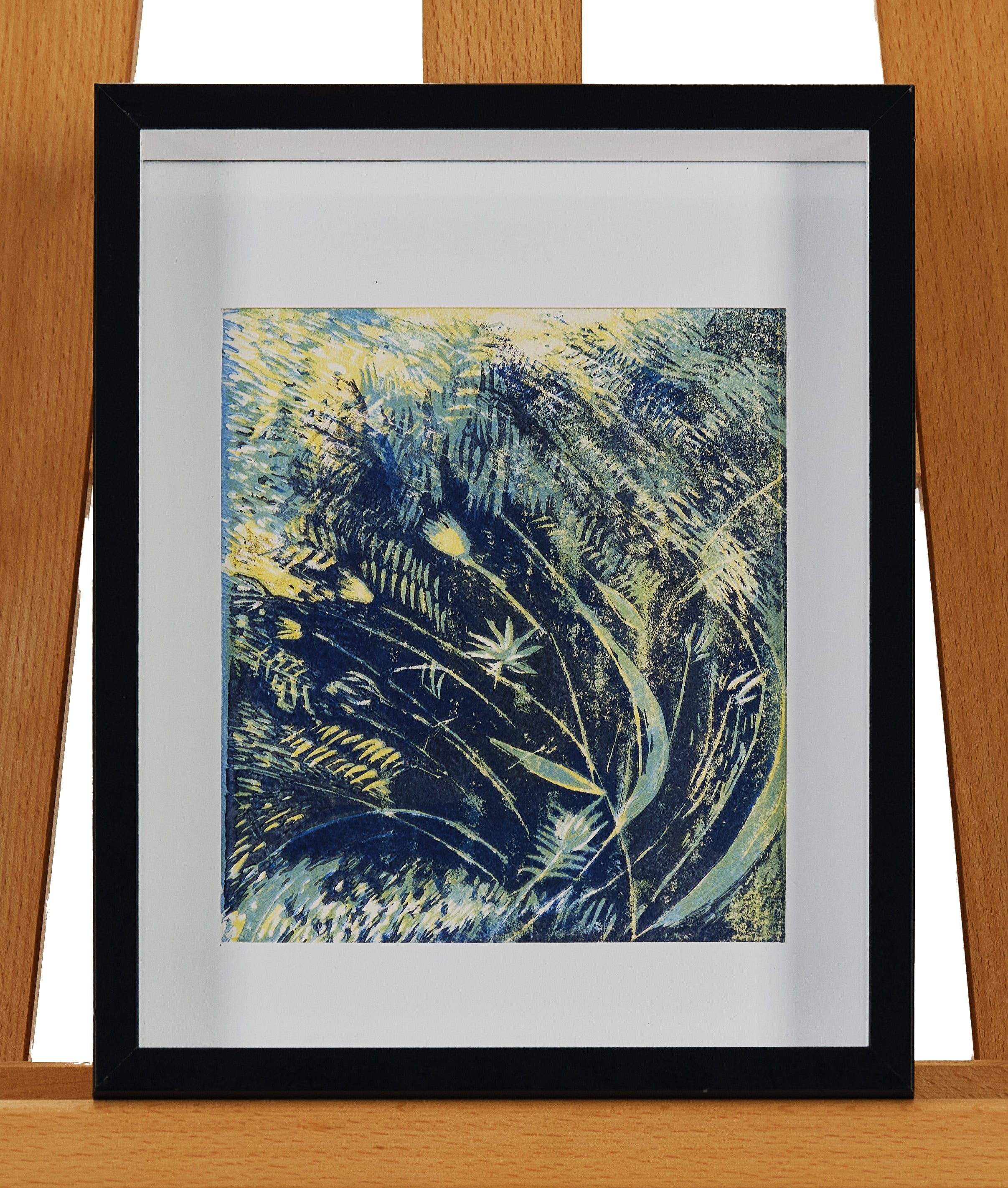 22cm x 27cm by Sarah Frost