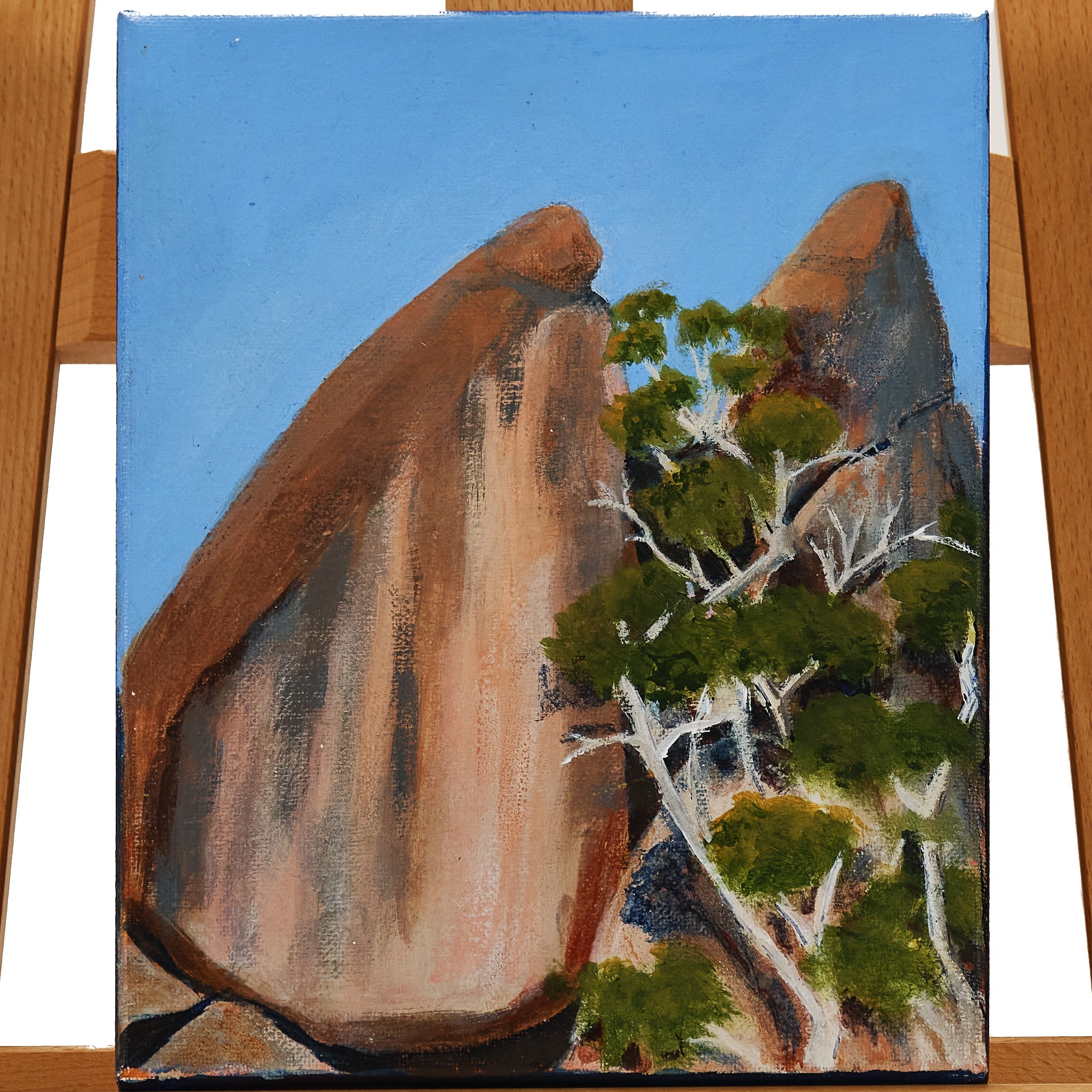 20cm x 25cm by Susan Ward