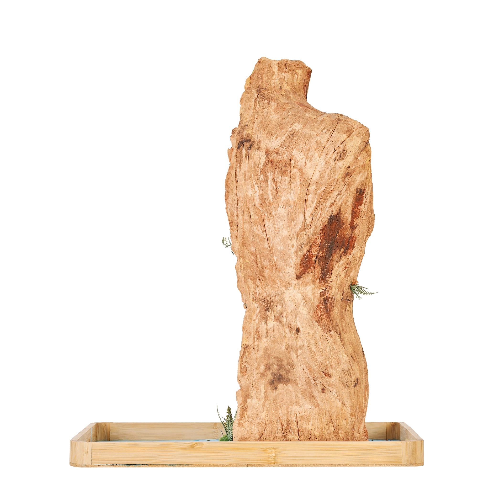 60cm x 40cm  by Justin Geange