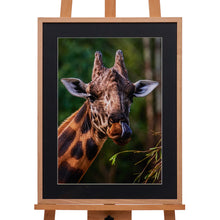 Load image into Gallery viewer, Giraffe Licking by Michelle Taylor-Holmes
