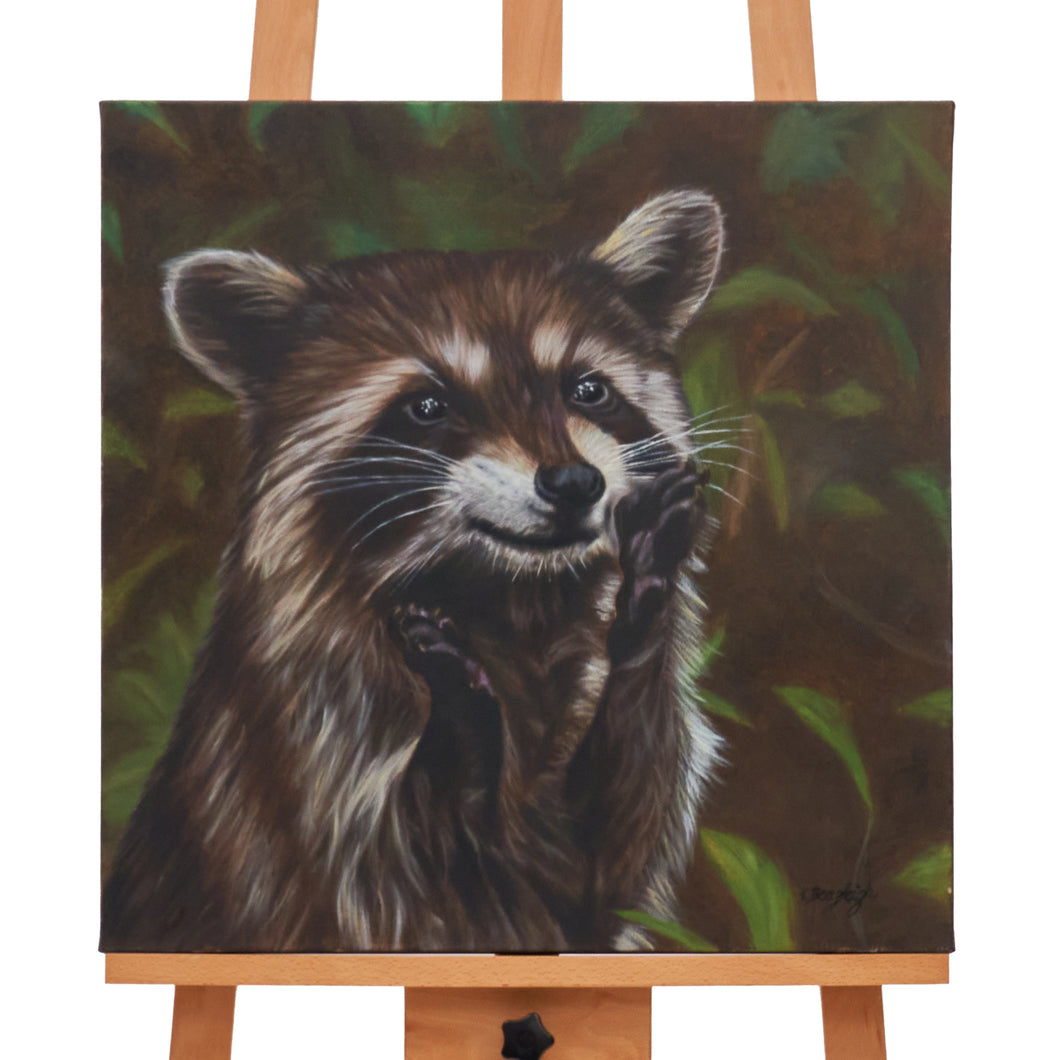 Joyful Raccoon by Kerry Beazleigh