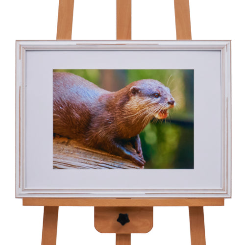 Otter's Log by Kris Stokman