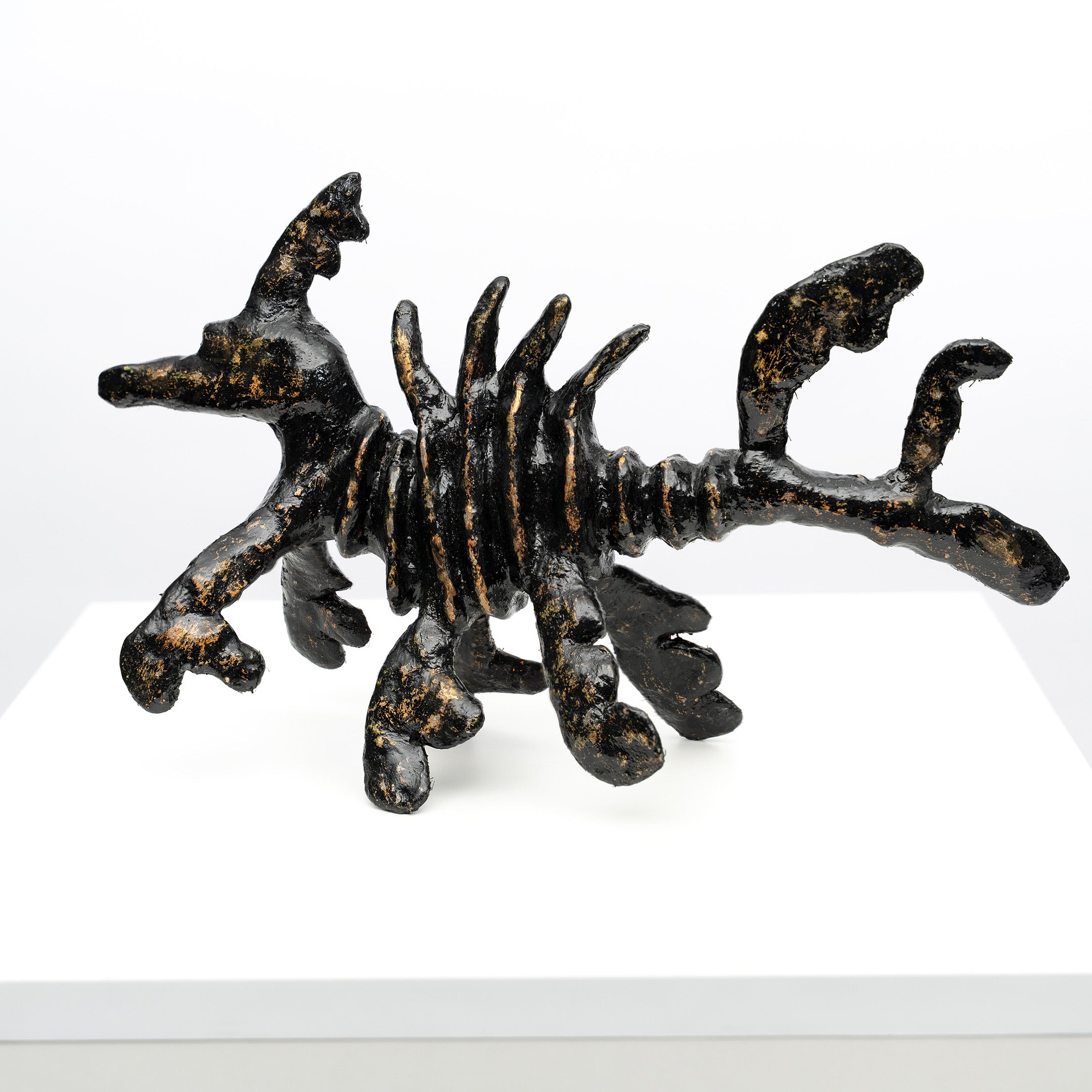 Leafy Seadragon by Christopher Harding