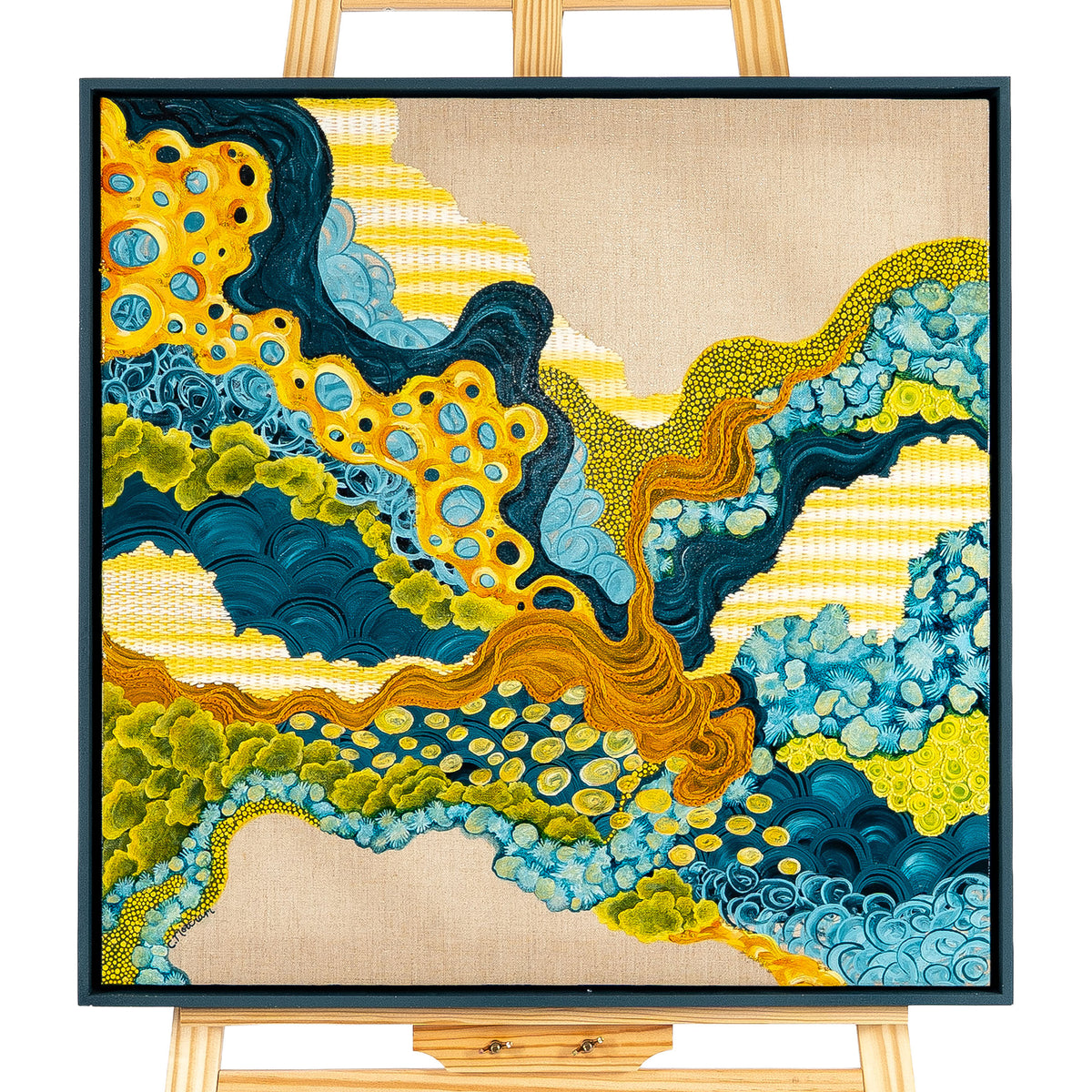 Silky Oak by Clara Mottram