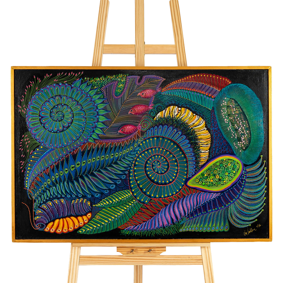 Evolution L by Jaq Van Damme