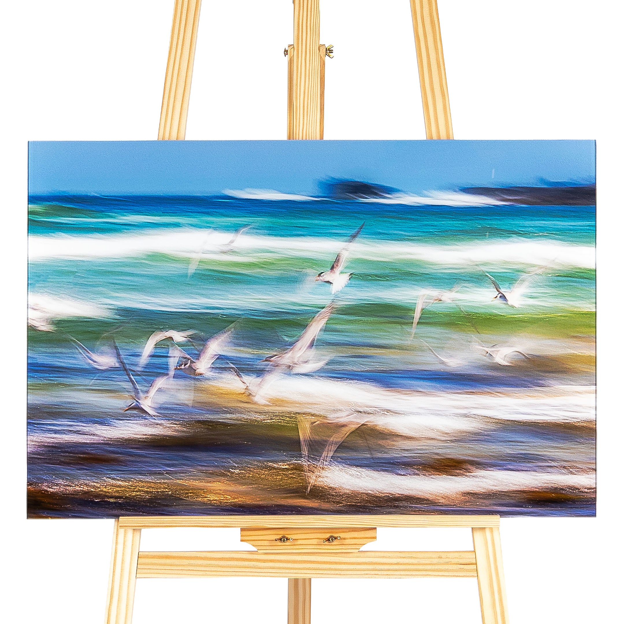 Fight or Flight by Judi Neumann