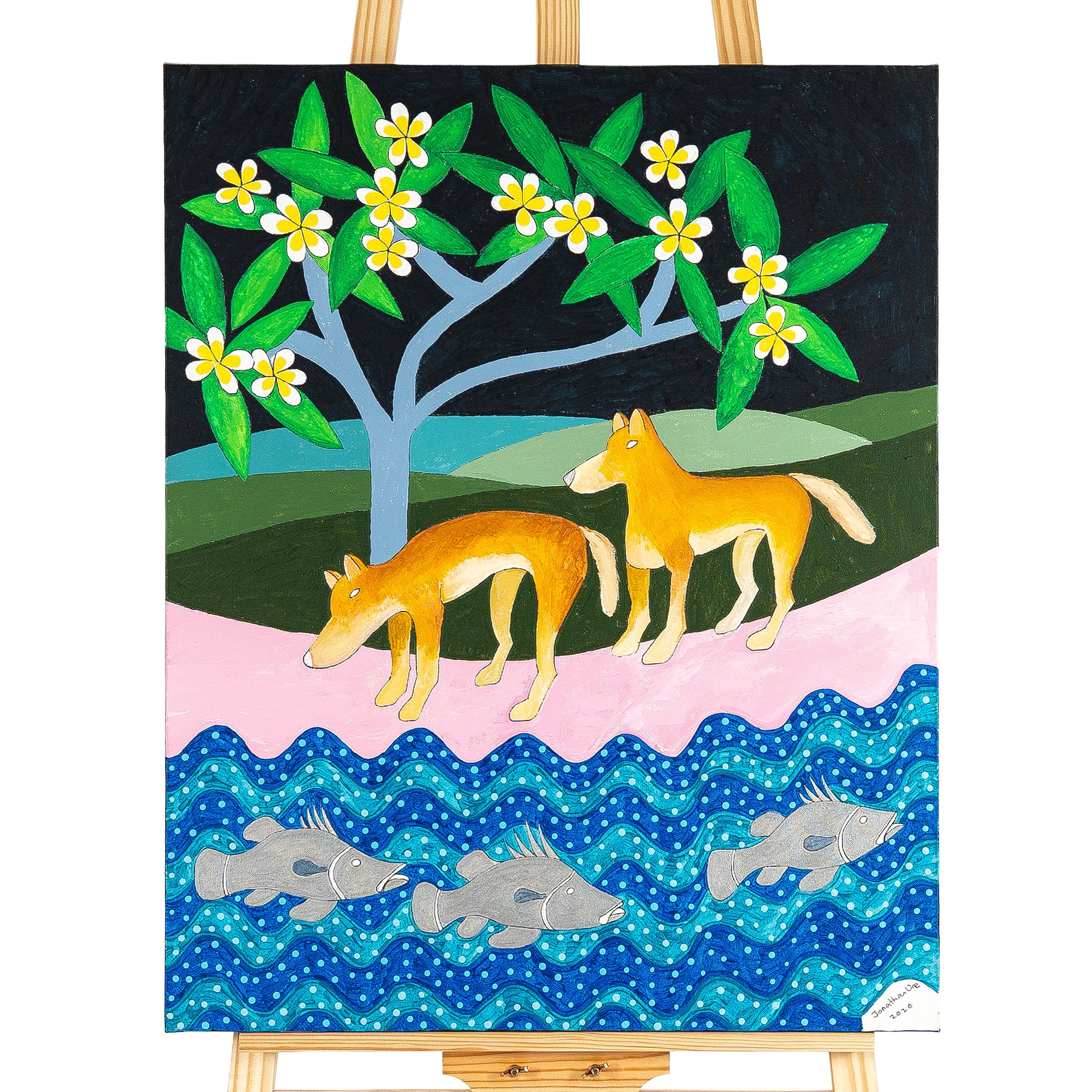 2 Dingos by Jonathan Ure