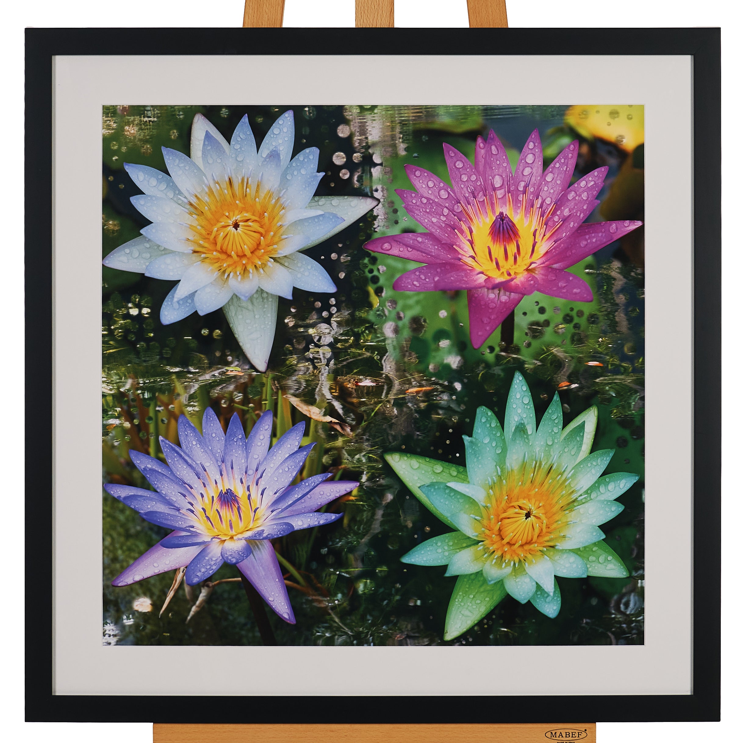 77cm x 77cm by Colleen Stevenson