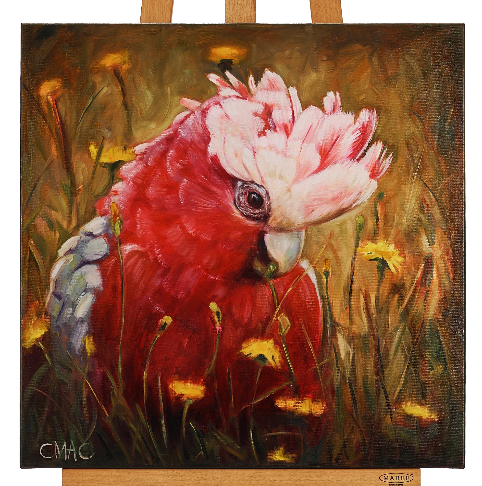 60cm x 60cm by Cindy MacDonald