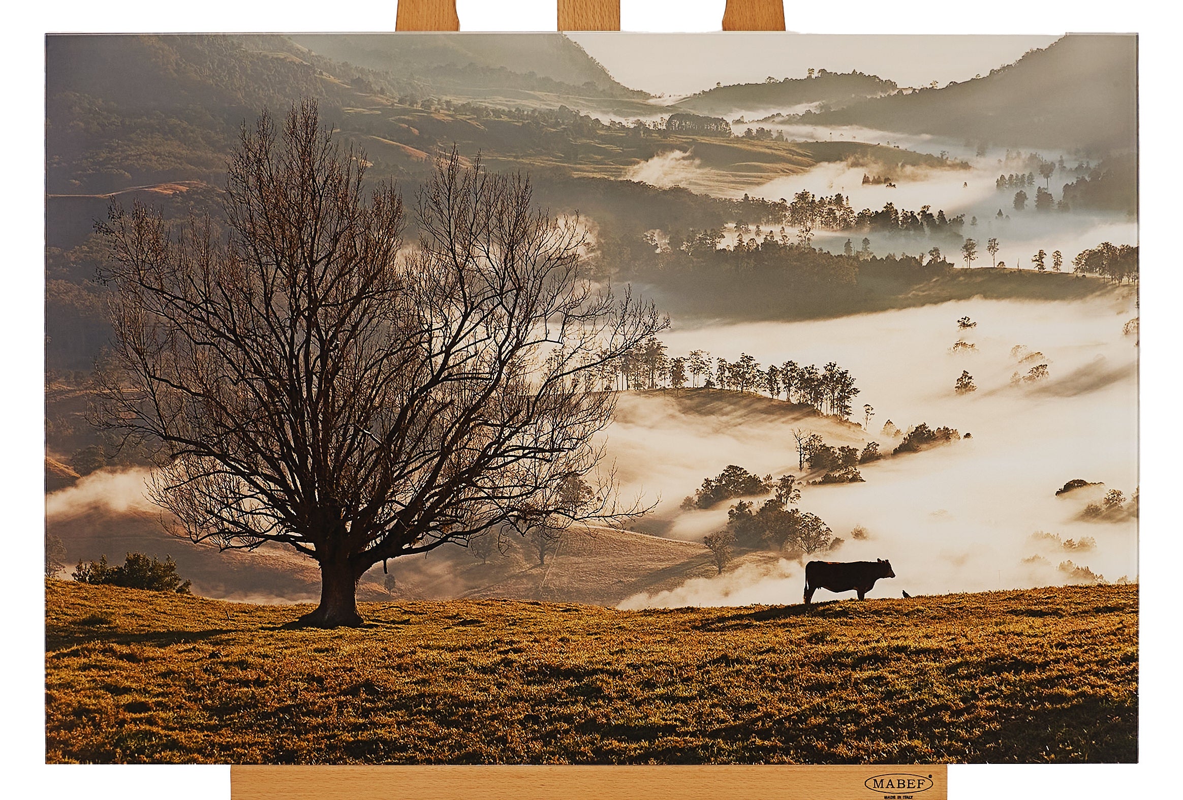 50cm x 75cm by Judi Neumann