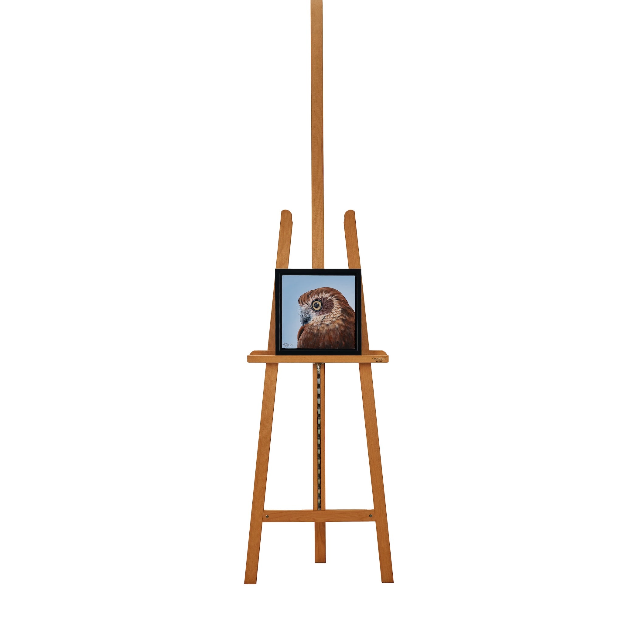 On Reflection (Boobook Owl)  by Kristy-Ann Duffy