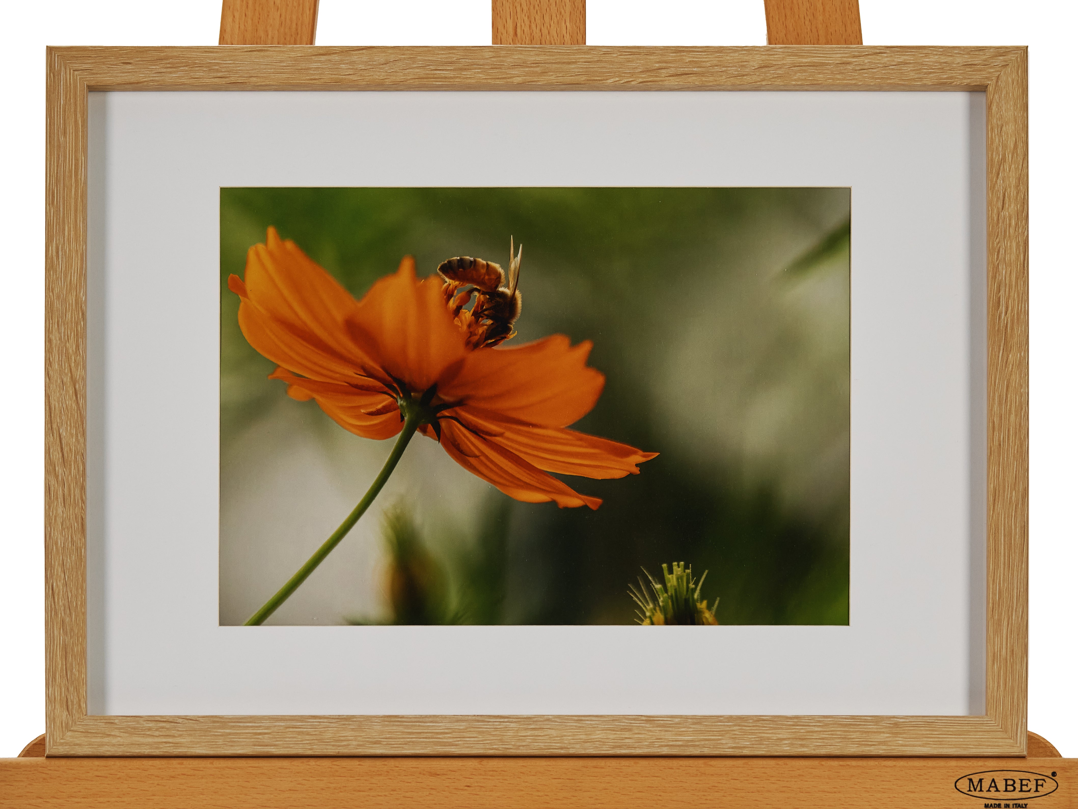 45cm x 32cm by Michelle Taylor-Holmes