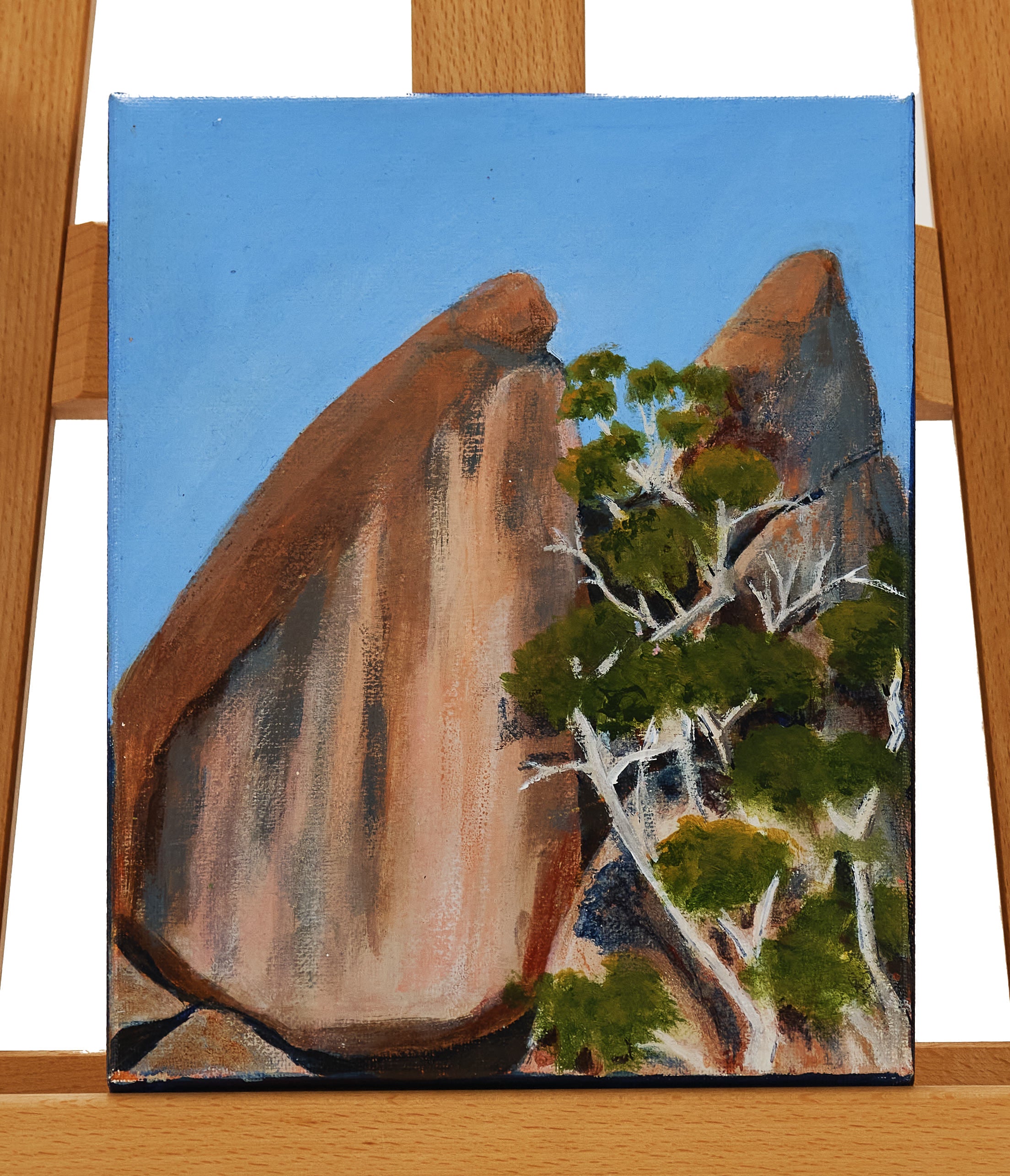 20cm x 25cm by Susan Ward