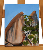20cm x 25cm by Susan Ward