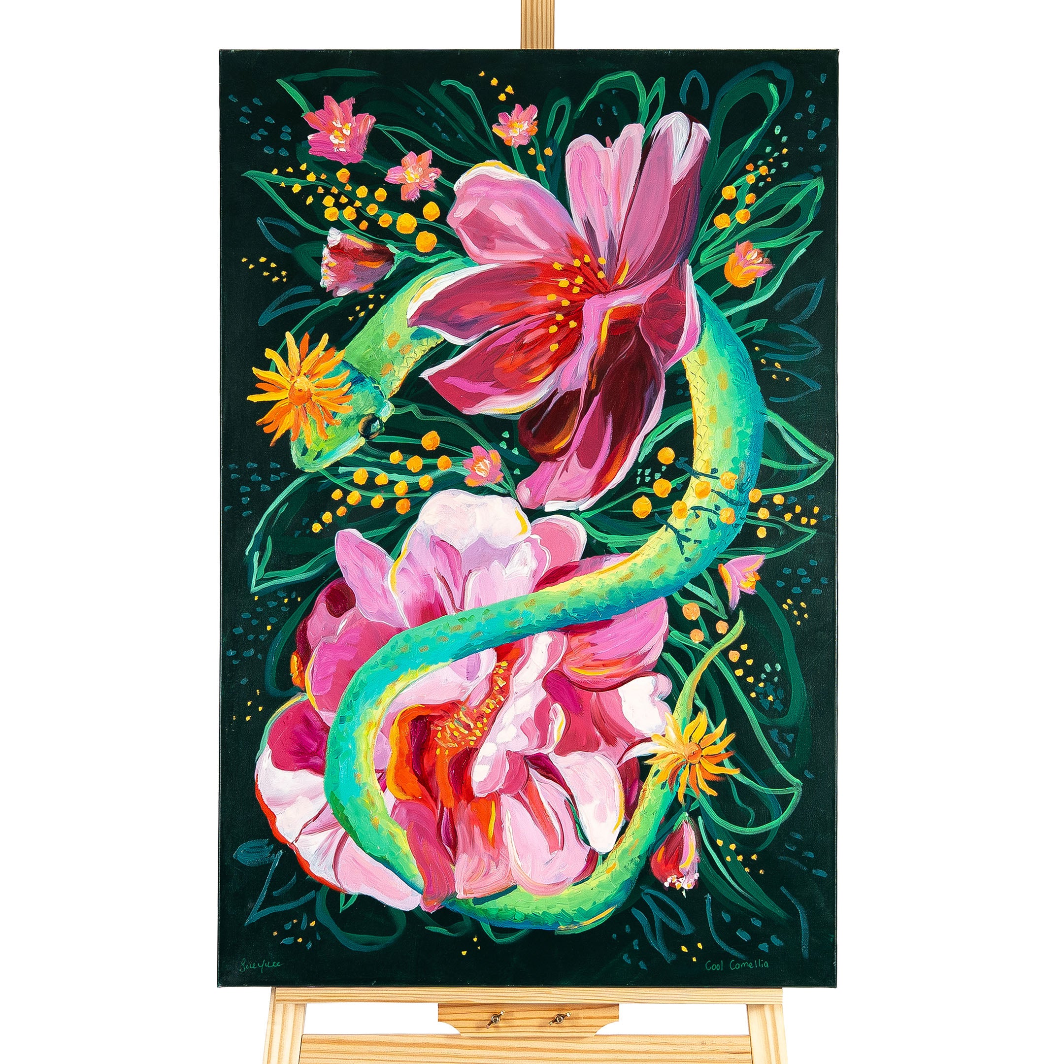 Cool Camellia by Sue Yule